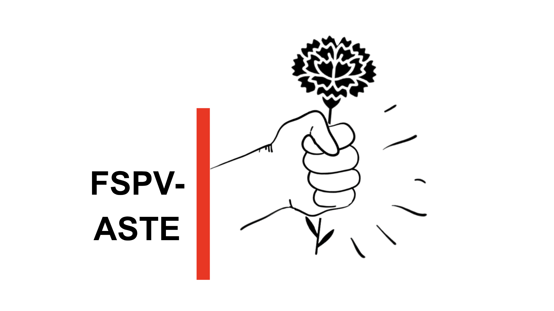 pp (1)